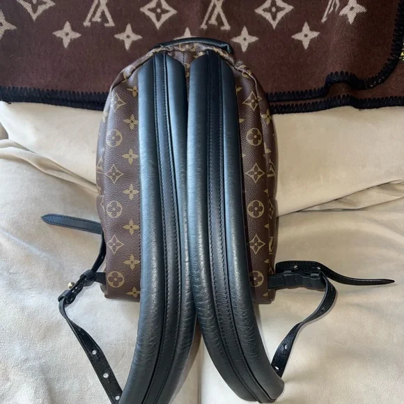 Louis Vuitton PM Palm Springs back back. - Picture 4 of 16